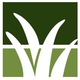 Stone Mountain Lawn Clean Up