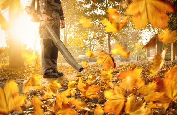 Leaf Blowing Service in Stone Mountain