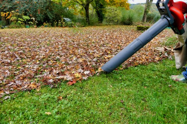 Leaf Vacuuming Service in Stone Mountain