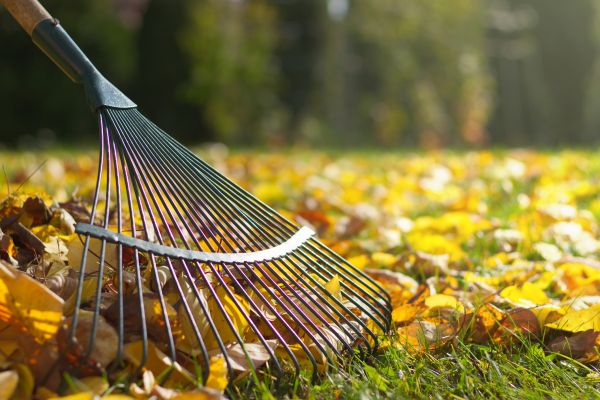 Leaf Raking Service in Stone Mountain