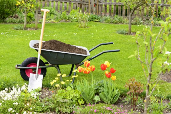 Spring Yard Cleanup in Stone Mountain