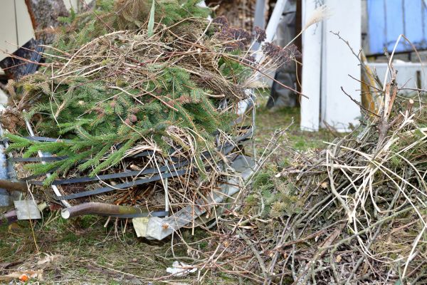 Yard Waste Removal Service in Stone Mountain