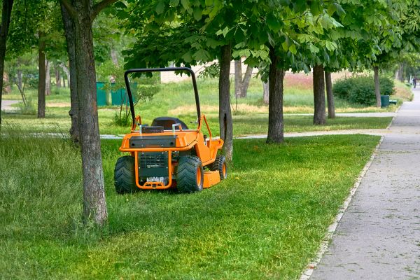 Landscaping Cleanup Service in Stone Mountain
