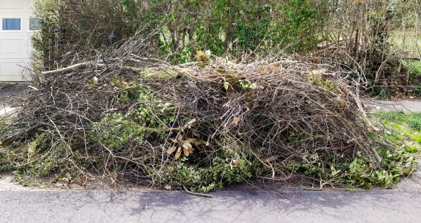 Tree Limb Cleanup in Stone Mountain