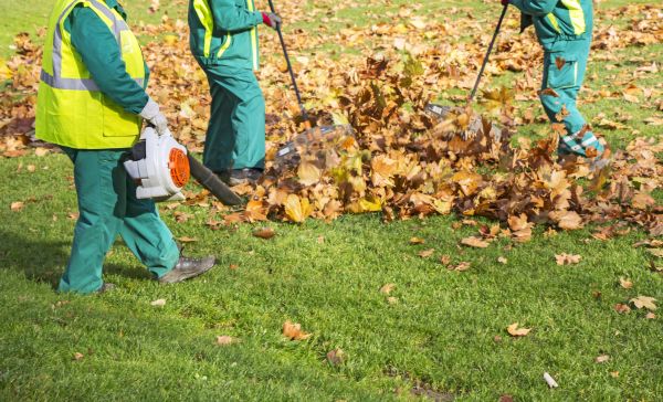 Leaf Maintenance in Stone Mountain