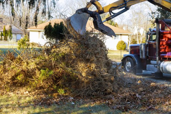 Storm Debris Removal in Stone Mountain