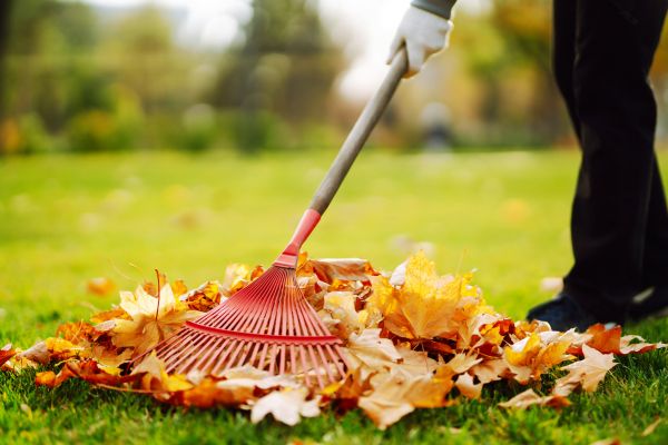 Cost of Ditch Leaf Removal in Stone Mountain