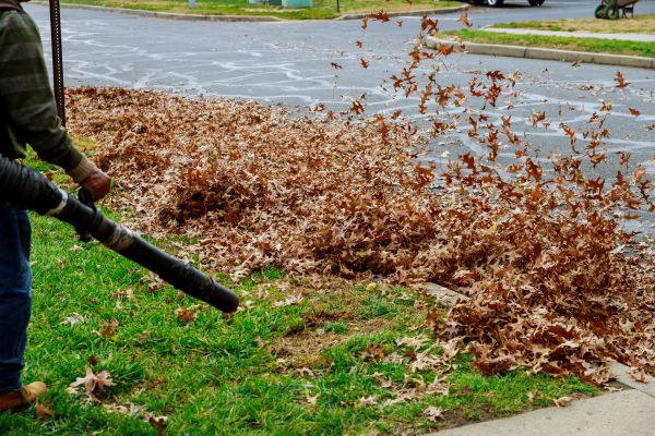 Garden Leaf Removal in Stone Mountain
