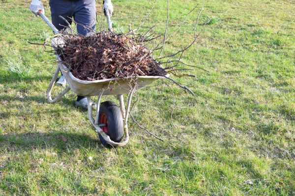 Yard Brush Removal in Stone Mountain