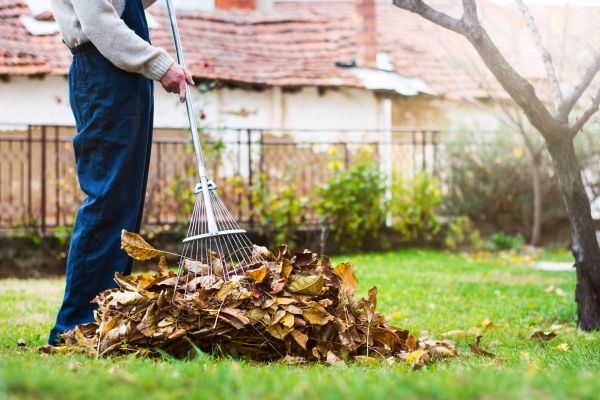 Spring Lawn Cleanup in Stone Mountain