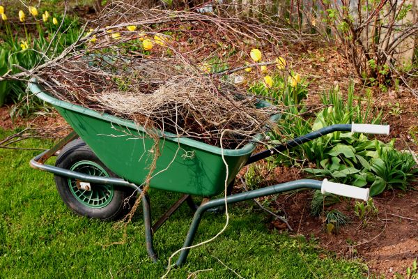 Lawn Waste Removal in Stone Mountain