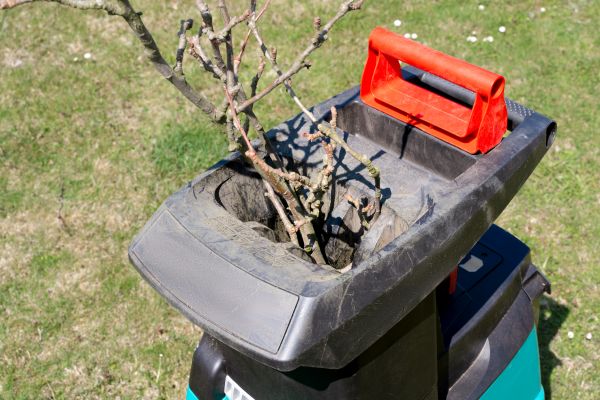 Brush Cleanup Service in Stone Mountain