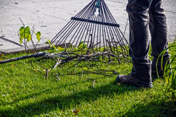 Yard Debris Cleanup in Stone Mountain