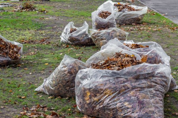 Leaf Pile Disposal in Stone Mountain