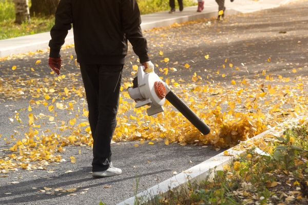 Commercial Leaf Removal in Stone Mountain