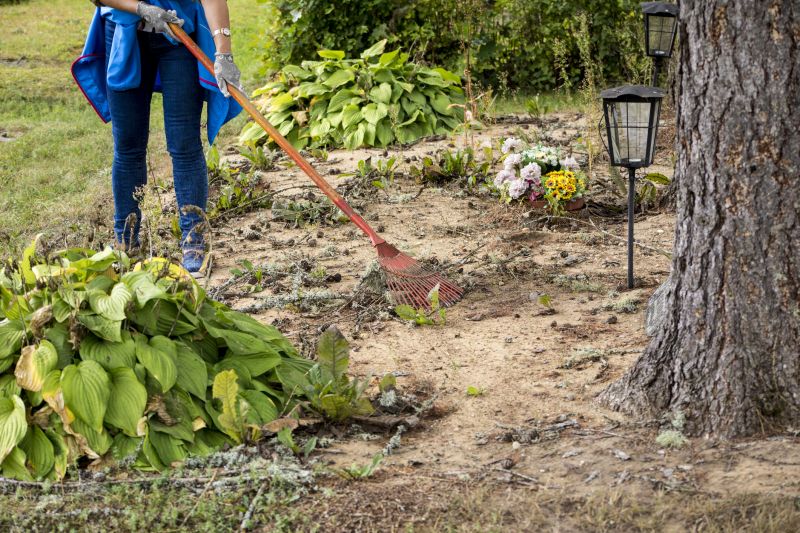 Lawn Cleanup Service